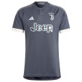 Juventus adidas 2023/24 Third Replica Jersey - Gray