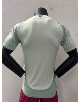 2024 Mexico National Team Nike Away Breathe Stadium Replica Player Jersey 