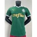 24-25 season Brazilian Serie A SE Palmeiras home jersey - green