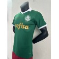 24-25 season Brazilian Serie A SE Palmeiras home jersey - green