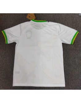 2024 Brazil National Team Jersey Fan version Birdie Edition