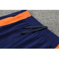 Juventus 24/25 season training uniform- blue